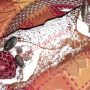 Сицилиански каноли с аромат на канела